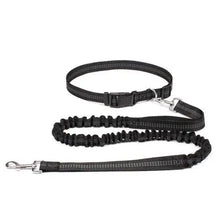 Hands Free Bungee Dog Leash in Black