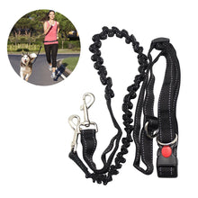 Alternate view of the Hands Free Dog Leash