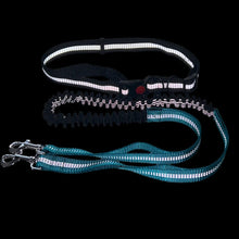 Hands-Free Reflective Dog Leash, product photo 10 of 10
