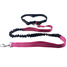 Hands-Free Reflective Dog Leash, product photo 3 of 10