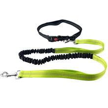 Hands-Free Reflective Dog Leash, product photo 4 of 10