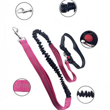 Hands-Free Reflective Dog Leash, product photo 7 of 10