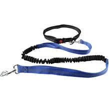 Hands-Free Reflective Dog Leash in Blue