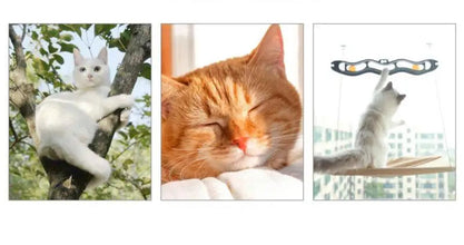 Hanging Window side Hammock for Cats, product photo 11 of 12