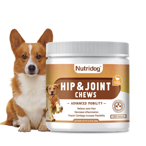 Hip and Joint Supplement for Dogs in Pet Vitamins