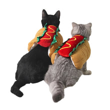 Cat wearing funny hot dog pet costume