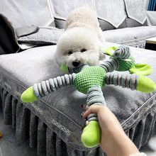 white dog pulling on a plush toy
