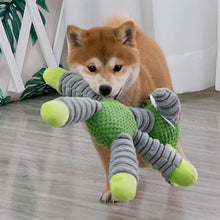 dog chewing on a plush toy