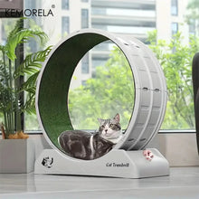 Indoor Cat Roller Treadmill, product photo 8 of 9