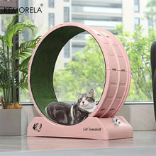 Indoor Cat Roller Treadmill, product photo 9 of 9