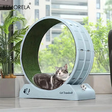 Indoor Cat Roller Treadmill in Blue