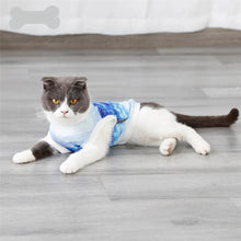 Instant Cooling Pet Vest Shirt, product photo 5 of 5