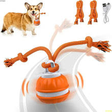 Interactive And Motion Activated Dog Ball in Orange