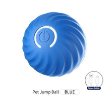 Interactive Ball Toy for Dogs in Blue 1