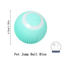 Interactive Ball Toy for Dogs in Blue A