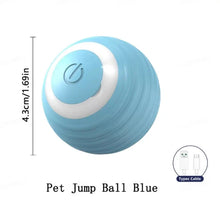 Interactive Ball Toy for Dogs in Blue H