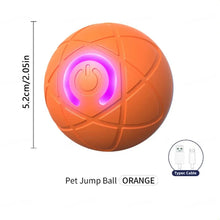 Interactive Ball Toy for Dogs in Orange X
