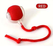 Interactive Ball Toy for Dogs in Red S