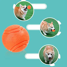 Interactive Dog Ball and Fetch Toy, product photo 4 of 10