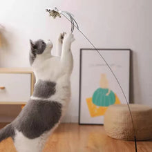 Interactive Feather Cat Toy with Stick, product photo 6 of 32