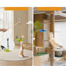 Interactive Indoor Teasing Cat Toy, product photo 4 of 29