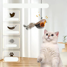 Interactive Indoor Teasing Cat Toy, product photo 5 of 29
