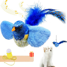 Interactive Indoor Teasing Cat Toy in Blue Cat Bird