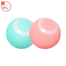 Interactive Indoor Teasing Cat Toy in Blue Pink Smart