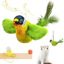 Interactive Indoor Teasing Cat Toy in Green Cat Bird