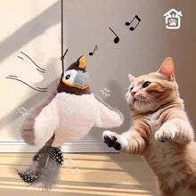 Interactive Indoor Teasing Cat Toy in Grey Cat Bird