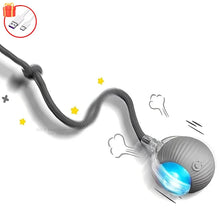 Interactive Indoor Teasing Cat Toy in Grey Tail Bal