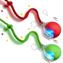 Interactive Indoor Teasing Cat Toy in Red and Green Tail
