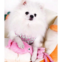 white dog enjoying its octupus plush toy