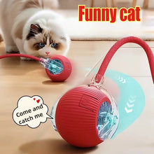 cat playing with 2 red rolling pet ball