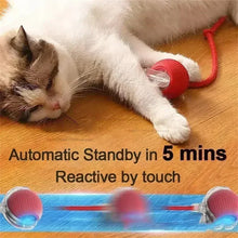 cat laying on the ground holding a rolling pet ball