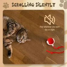 cat with red rolling pet ball on the floor