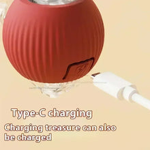 red rolling pet ball with a charger