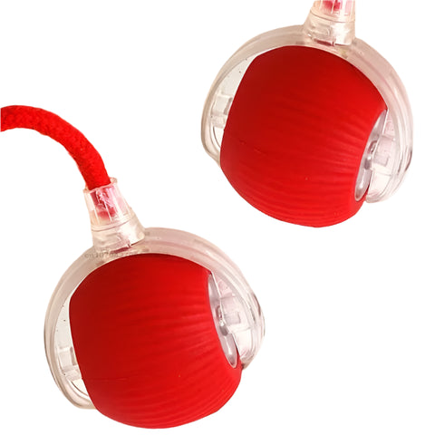 red rolling pet ball