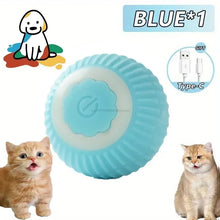 blue rolling pet ball with cats on a white background
