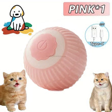 pink rolling pet ball with cats on a white background
