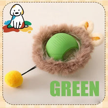plush green rolling pet ball