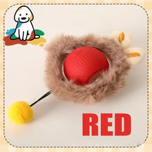 plush red rolling pet ball