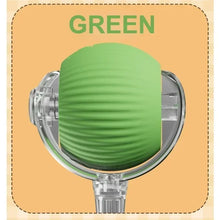 green rolling pet ball