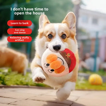 dog running while chewing a plush pumping dog toy