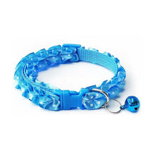 Lace Pet Collar in Blue