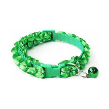 Lace Pet Collar in Green