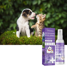 Alternate view of the Lavender Dog Deodoriser Spray