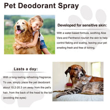 Lavender Dog Deodorizer Spray, product photo 10 of 18