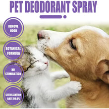 Lavender Dog Deodorizer Spray, product photo 12 of 18