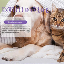 Lavender Dog Deodorizer Spray, product photo 13 of 18